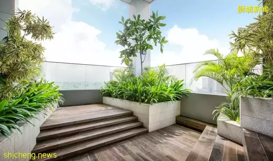 新加坡SP/EP门槛提高,EP将以积分申请!2021年新加坡PR获批量创十年新高