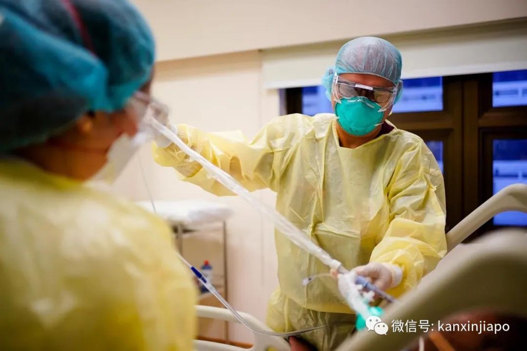 今增X，累计X | 新加坡的冠病死亡率只有0.06%，到底怎么办到的？