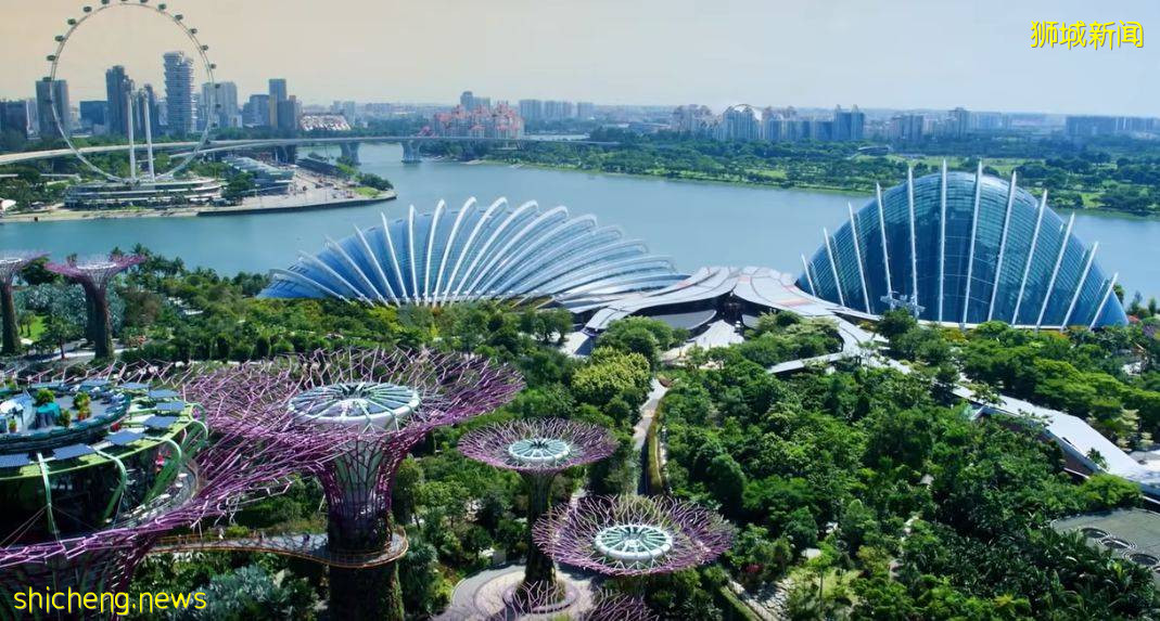 迪拜世博会新加坡馆爆满!新航和樟宜机场再次上榜