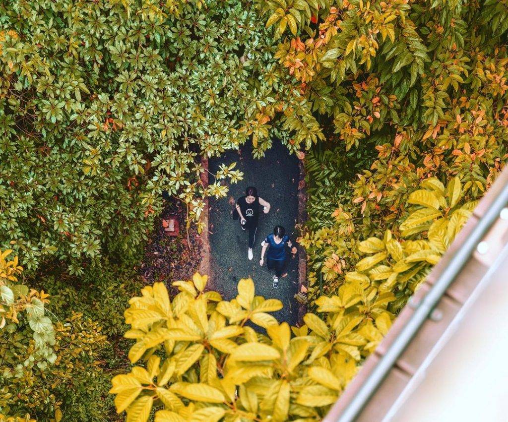 發現這一抹綠💚解鎖新加坡森林系打卡點🌳青翠蔥郁、空靈意境，仙氣爆棚一秒出片⚡