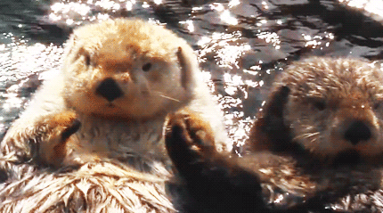 小坡島種草機!春遊野餐正當時,讓大自然治愈你