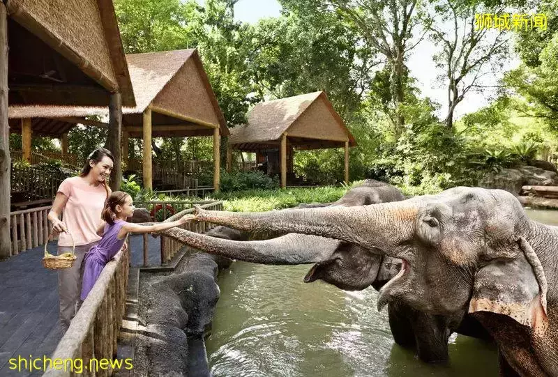 新加坡自由行:三天玩轉新加坡特色景點推薦