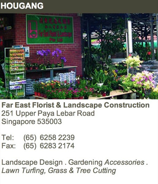 Screen Shot 2014-07-02 at 12.12.16 am