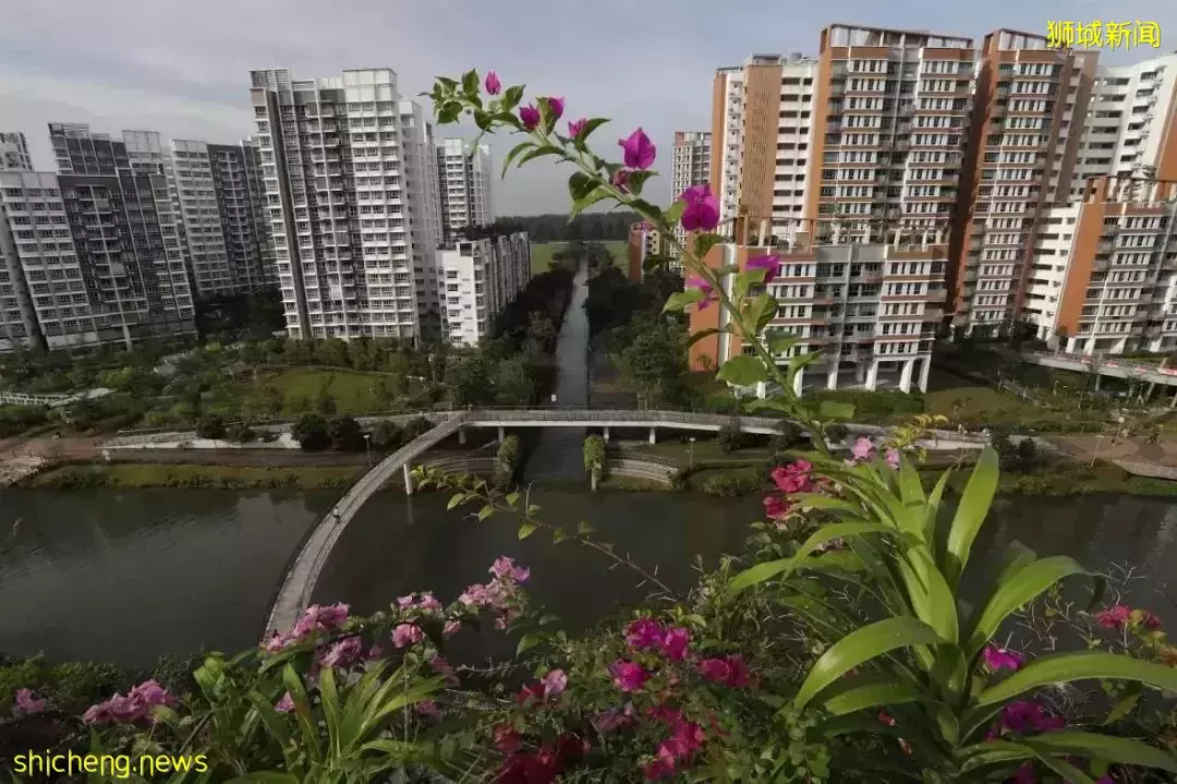 新加坡這5區出爐5300套新組屋!實用攻略:轉售 VS 新房怎麽選