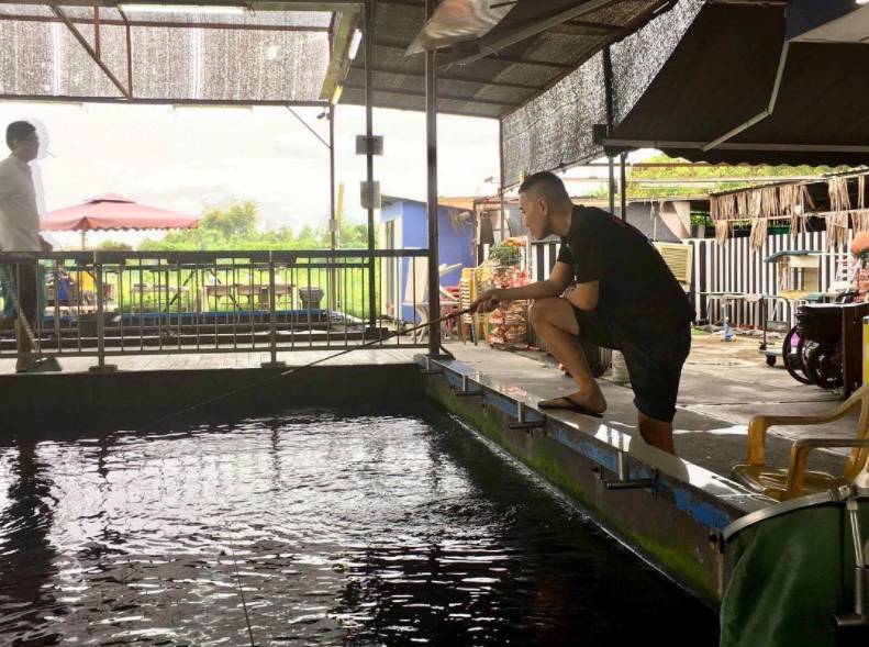 新加坡國民娛樂新玩法,養生釣蝦約不約