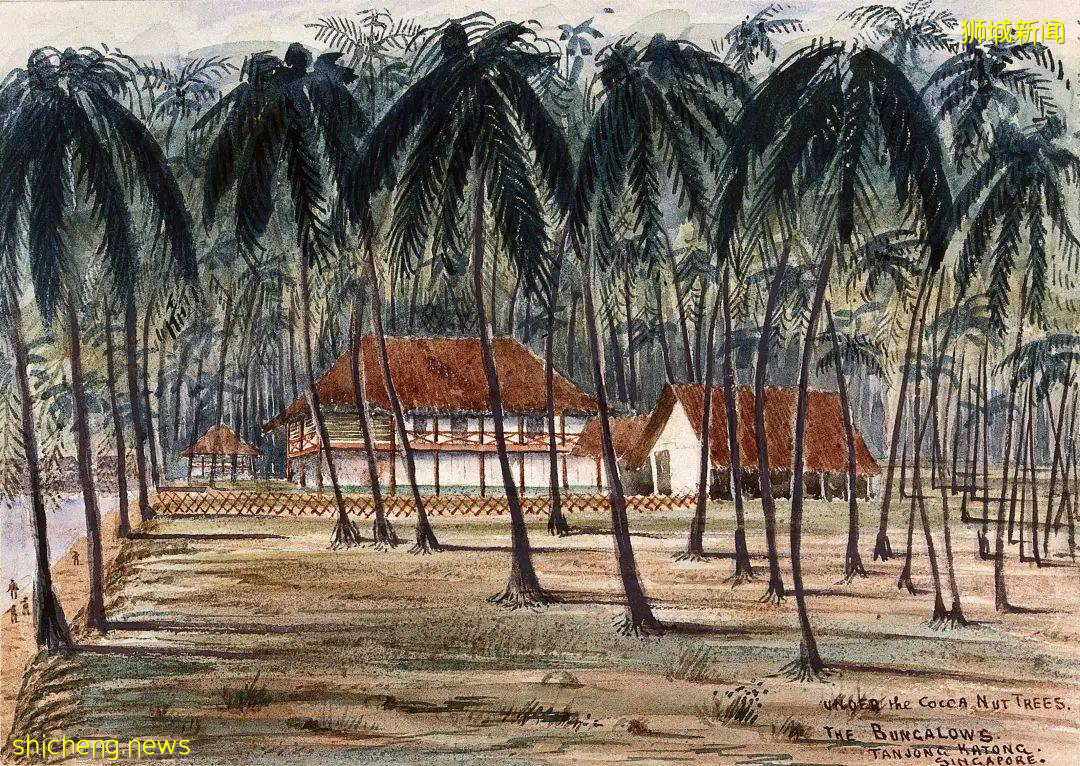 “浪漫東海岸”，我尋到了藏在新加坡的華人風情