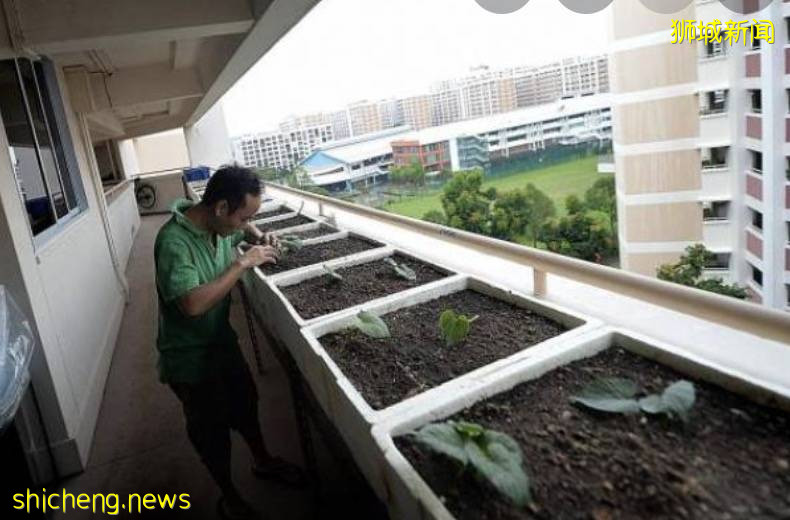 “受不了了!新加坡鄰居的囤積癖讓我抓狂!” .