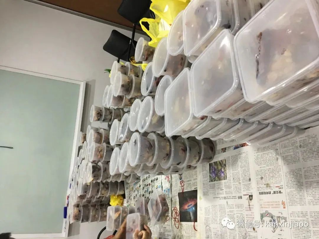 新加坡雇主“哭穷”、工人抱怨,谁都不容易......