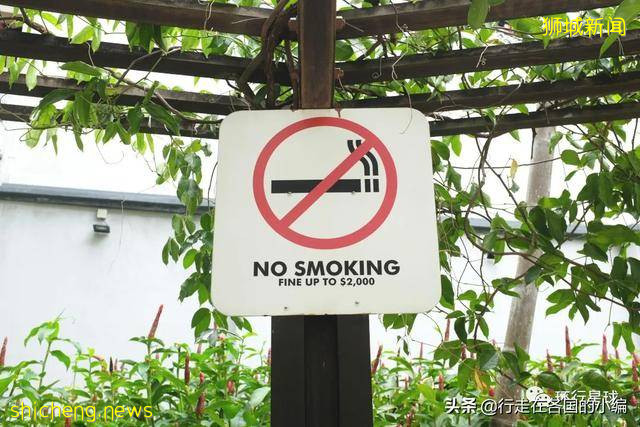 不穿衣服被邻居看到,应该罚款么?爱罚款的新加坡规定你知道多少