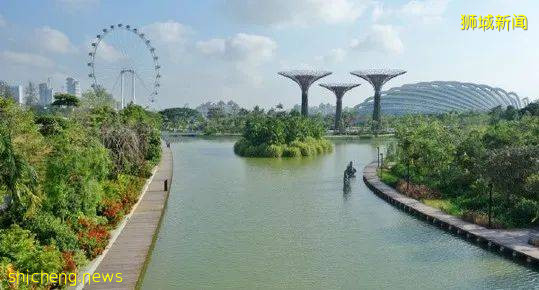 新加坡招聘開放了,想出國的人最關心什麽