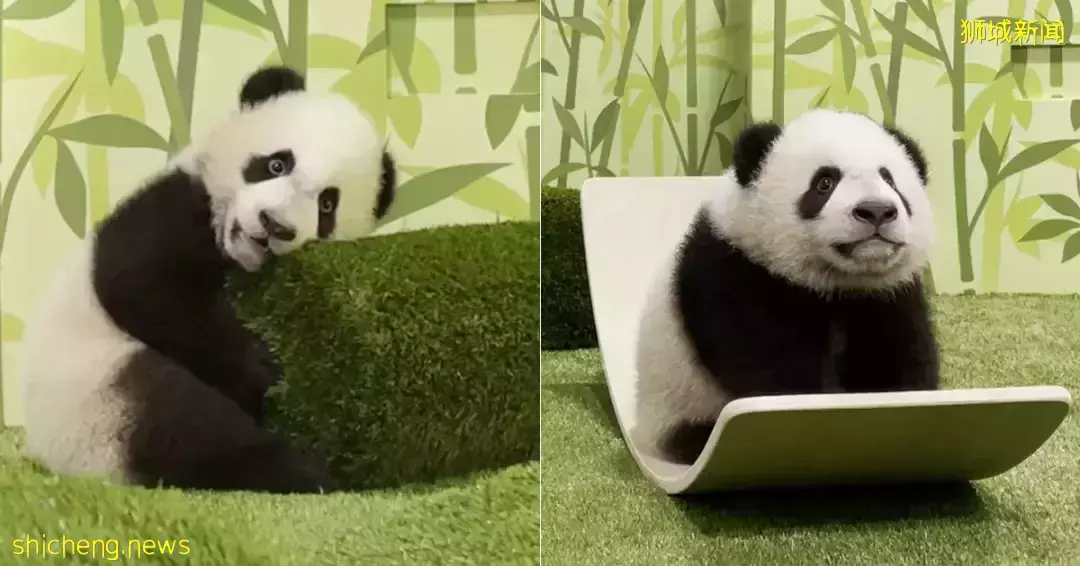 實拍亮燈！2022年“春到河畔”場面宏大，還有這麽多好玩的