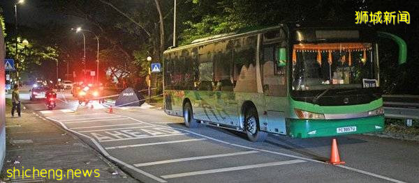 大馬婦女獅城車禍亡 夫視訊囑亡妻:你要好好地走