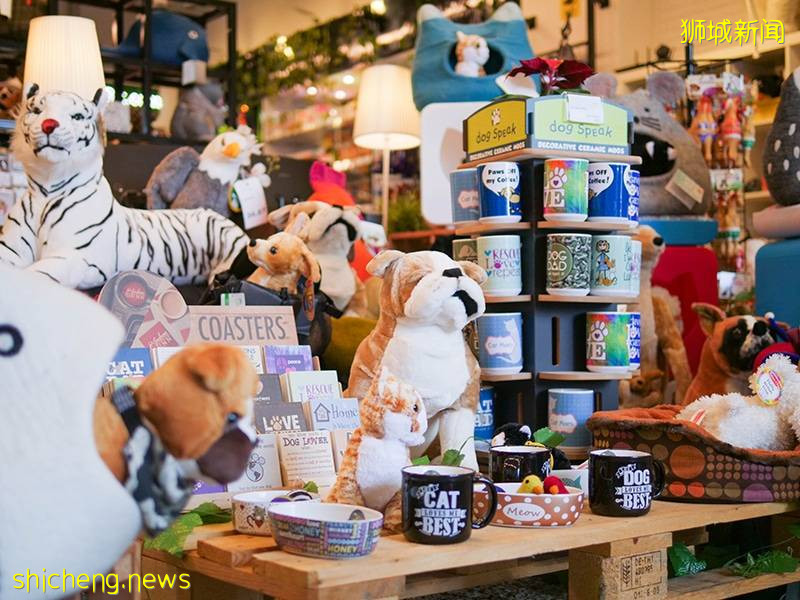 在新加坡怎麽養寵物