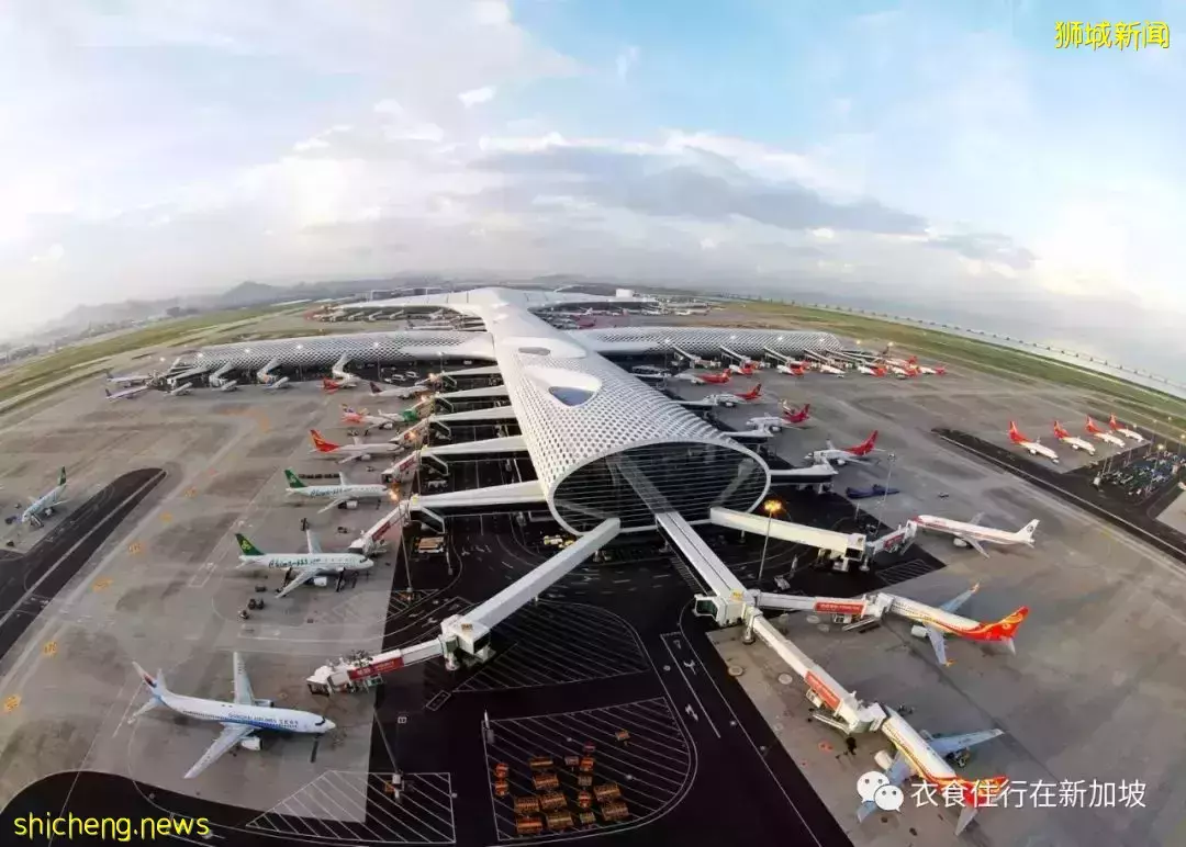 人人抢代购!新加坡飞往中国的机票天价