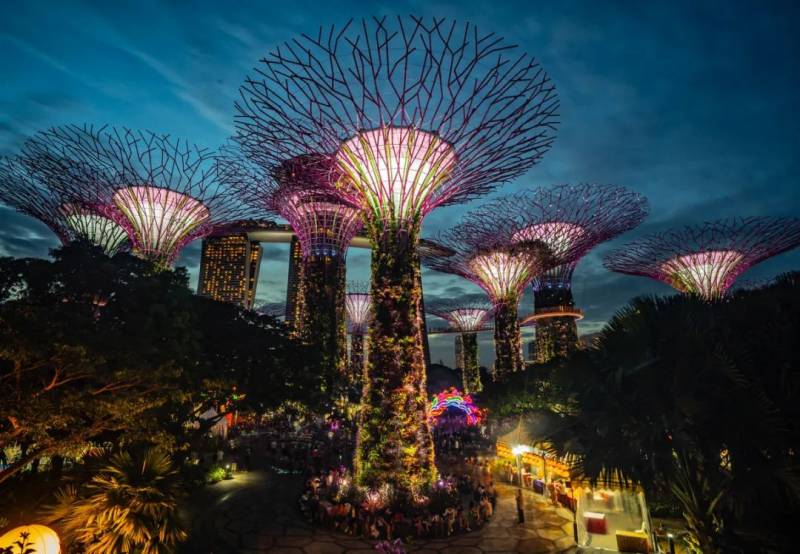 走，去“花園中的城市”新加坡賞櫻