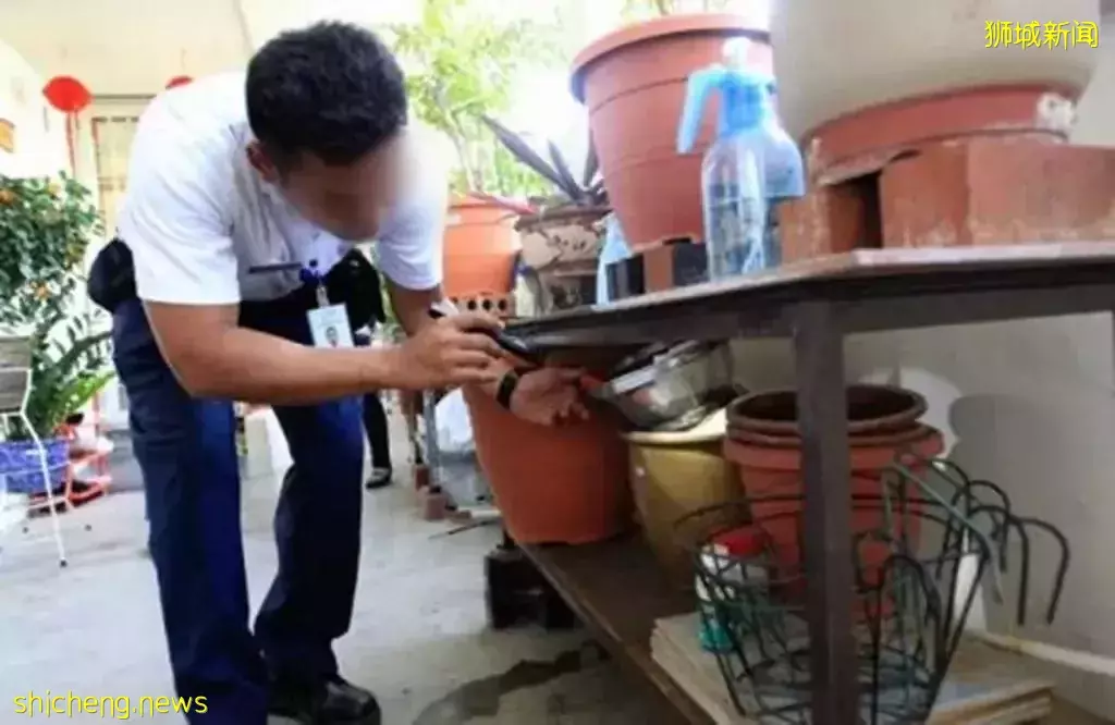 新加坡到底有多奇葩?看到最後我笑噴了哈哈哈哈