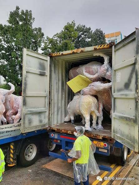 牛牪犇!牛车水变身“农场”,喜迎春节到来