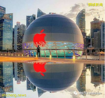 多图,超美!全球首家水上苹果店成新拍照热门地