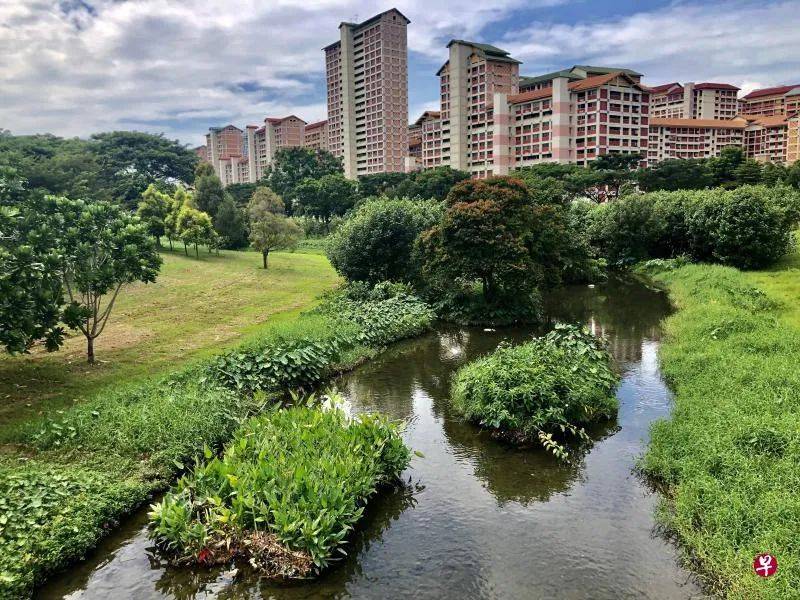 这里是新加坡最大最美的公园之一，它的前身竟然是排水沟、回收山和