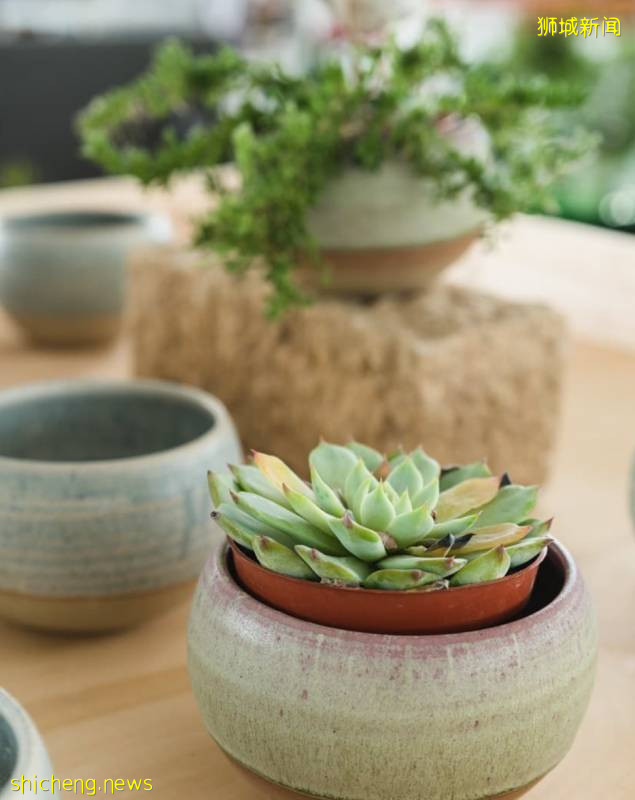 除了超市，原來新加坡還能在這些地方買到鮮花