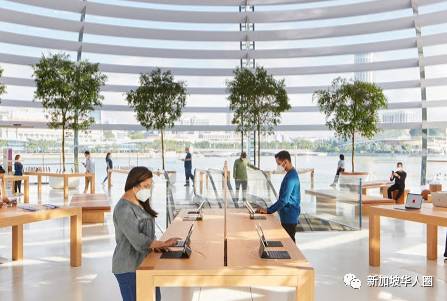 新加坡水上的苹果专卖店!9月10日正式开幕,需提前预约参观