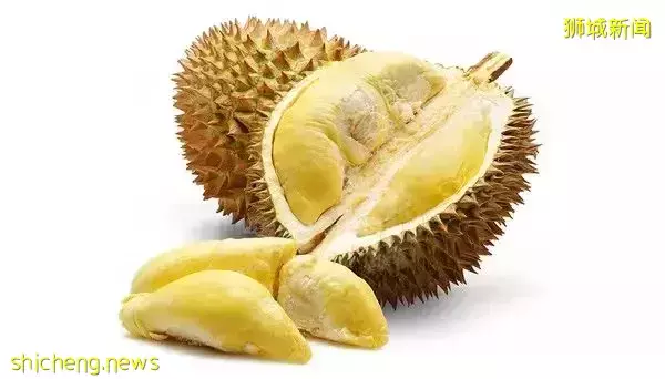 新加坡 榴梿季來襲