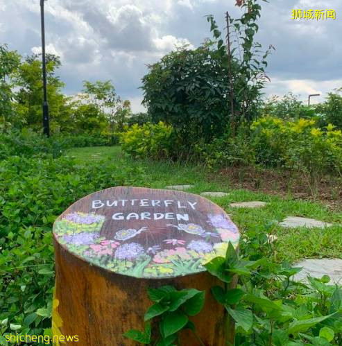 坡島9月活動速遞!冰激淩博物館!Epigram快閃書店!美食節回歸,一起嘗遍本地美食