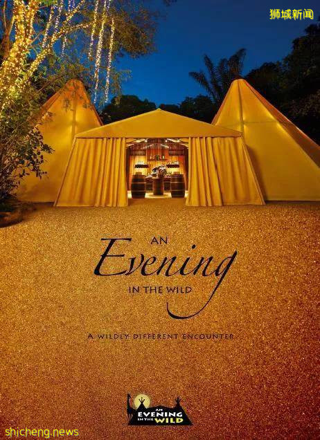 在新加坡野生動物園來一場VIP營地晚宴是怎樣非凡的體驗