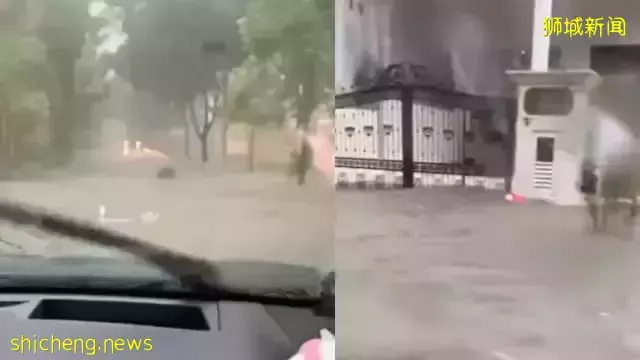 新加坡蔬菜價格暴漲！大馬首例奧密克戎患者，來過坡