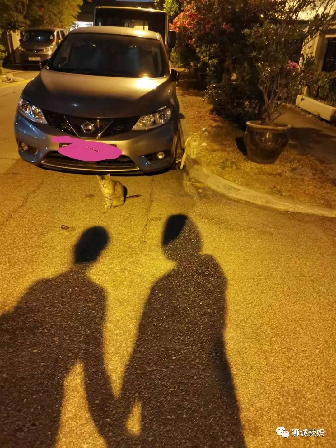 来新加坡13年！7次申请PR被拒！试遍所有“秘诀”，直到