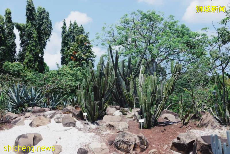 建築旅行 | 新加坡小衆景觀公園!