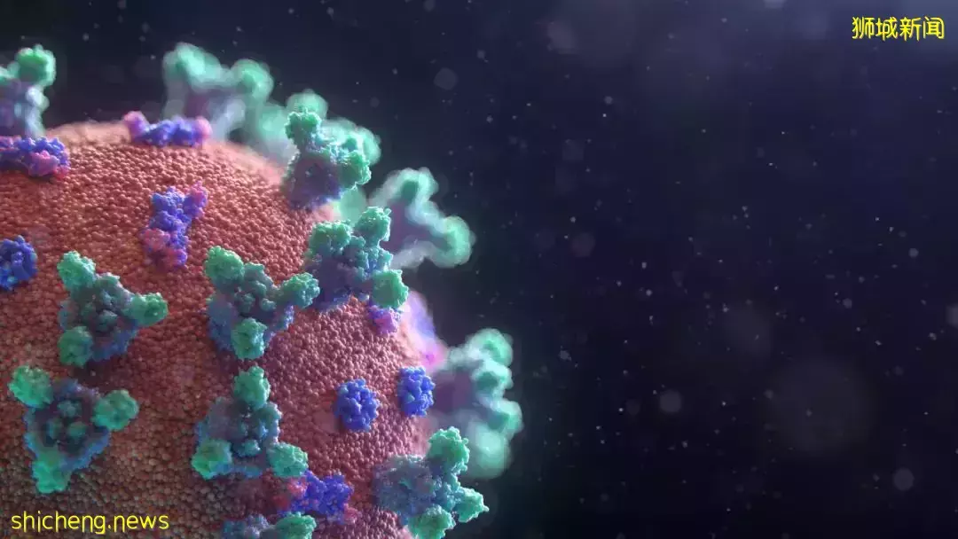 新加坡5至11岁孩子接种新冠疫苗，怎么接种？间隔时间？详情出炉