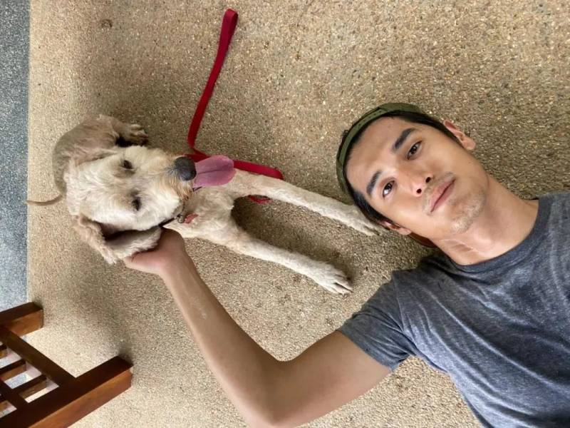 去哪里邂逅撞脸彭于晏,拜师周杰伦的坡国帅哥