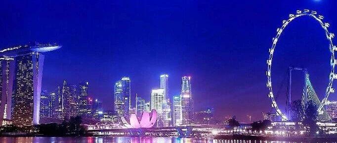 新加坡保险 为什么要考虑