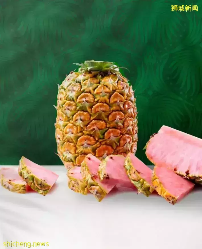 世界首款粉色菠蘿！顔值超高😍快去Cold Storage買