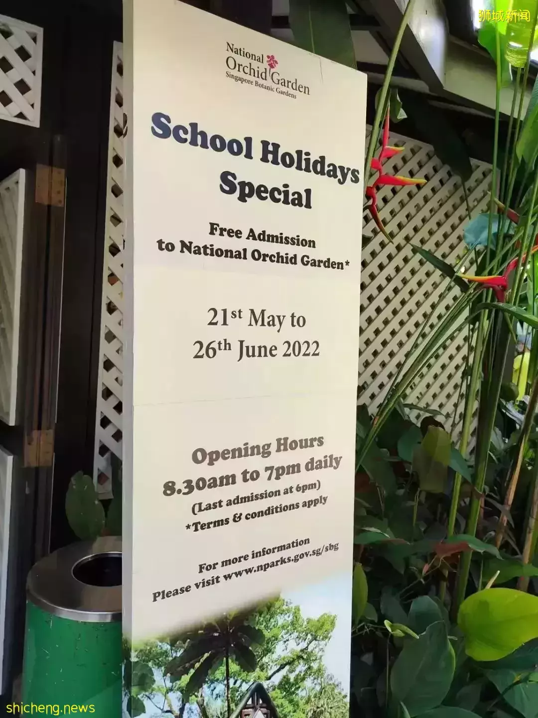 学生假期限时免费！超过5000+品种，带娃去看新加坡的国花