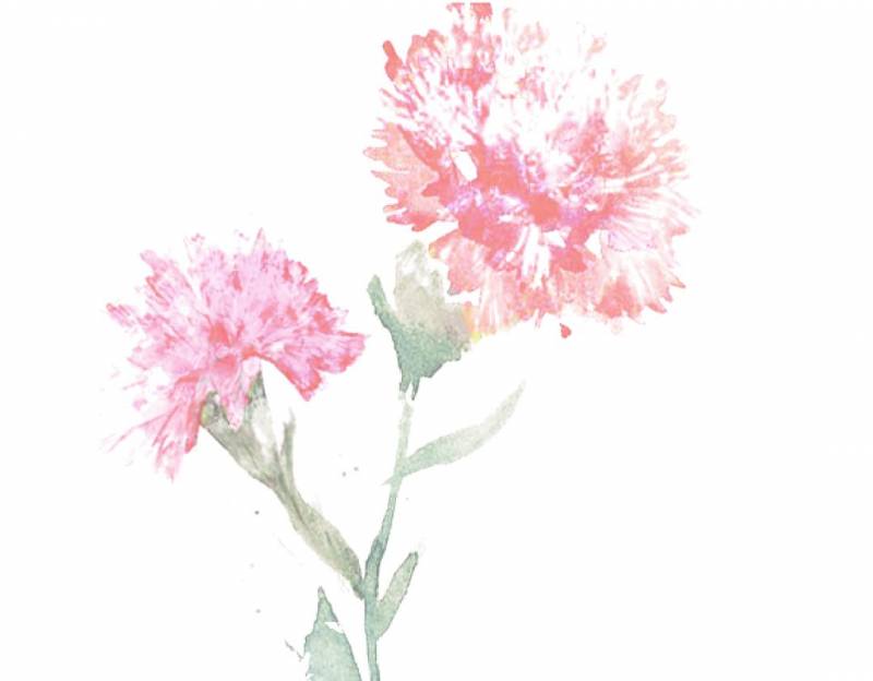 新加坡留学：为了不让你家小孩输在同一起跑线上，你其实可以这样做，不然你会后悔的