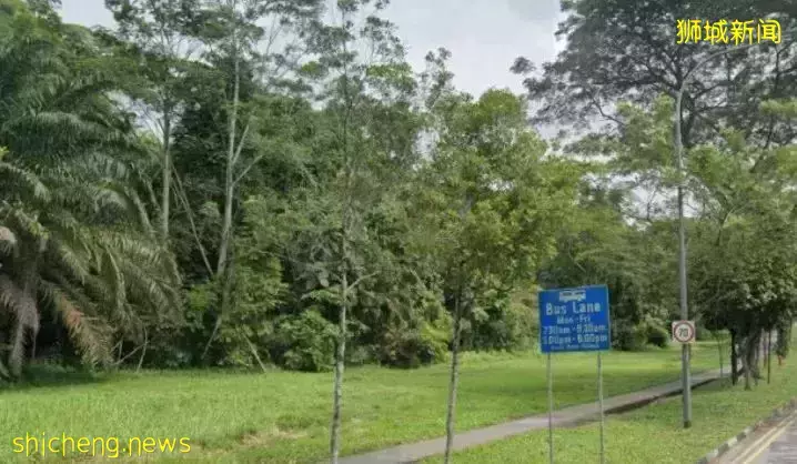周末踏青飞来横祸，新加坡女子竟然被石灰块砸中后丧命
