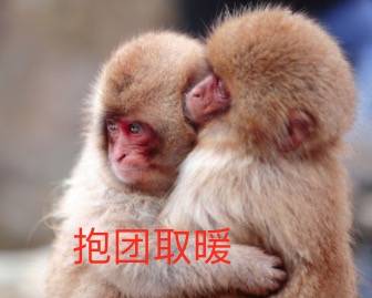 下個月!新加坡和中國香港互開旅遊!無需隔離!內地遊客經香港可以來了