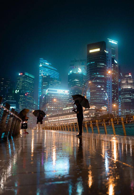 变热啦!太阳高高照☀️ 新加坡一月下旬迎来干旱热天,气温预计将高达34度