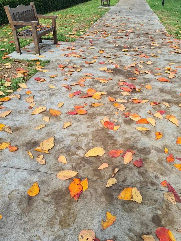 三月的新加坡,已是秋意满满