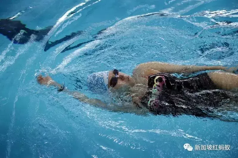 沒發獎金獎勵駱建佑惹議　新加坡政府：不只在金錢層面支援運動員