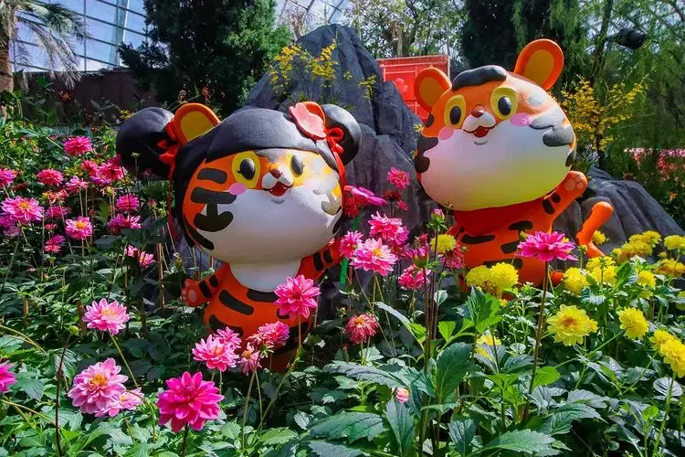 大丽花之梦2022回归!2000株花卉+中式拱门+虎宝宝装饰,花香满溢迎新春🔥