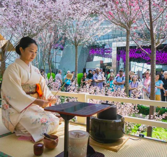 新加坡3月精彩活動特輯！王家衛電影周、電力站藝術中心表演、亞洲藝術書展等你來一一打卡