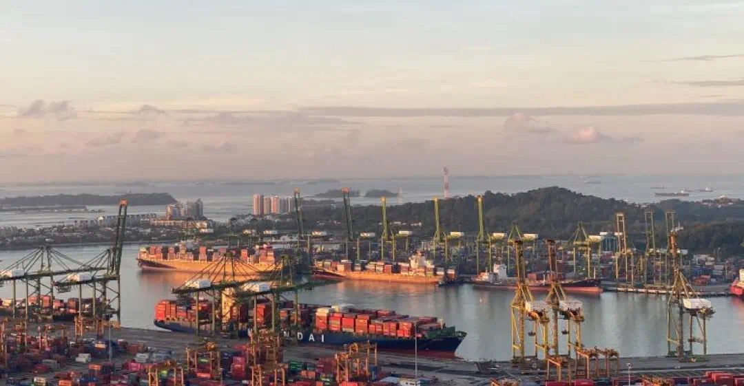 825名船员接受额外检测均为阴性！科研团队：泰国野生蝙蝠 带有冠病相近病毒