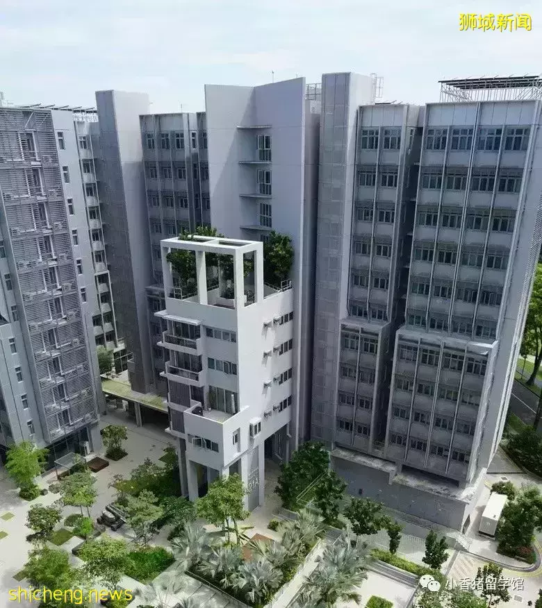 新加坡留學校內住宿：如何get限量版好房