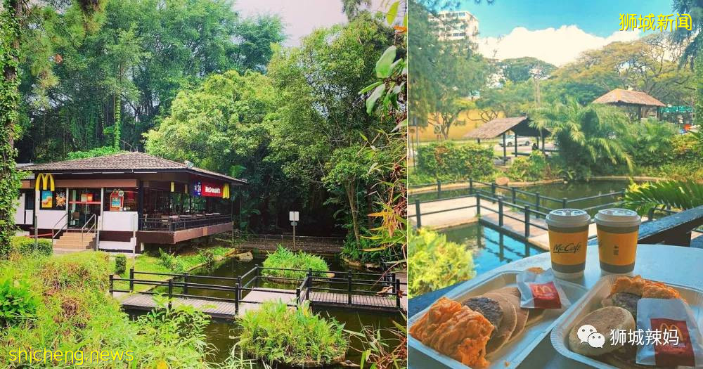 喜大普奔！新加坡最美麥當勞不關門啦！打卡走起