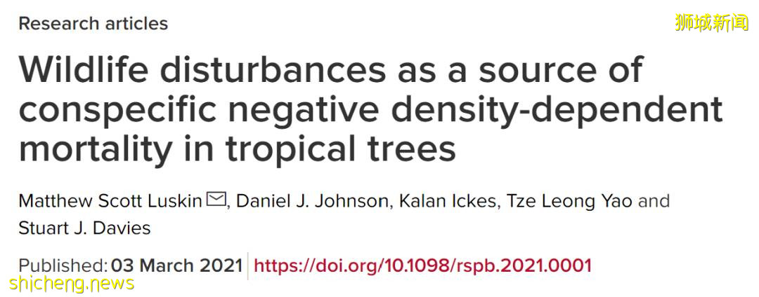 校园里有野猪的原因找到了？NTU 科学家这样说