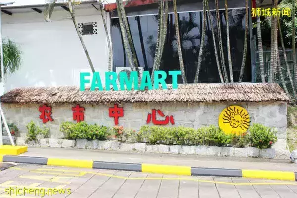 《即刻隨心所想，心想獅城》新加坡生態遊系列2