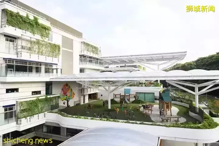 中新動態 中國駐新加坡使館開展遠程視頻公證試點工作